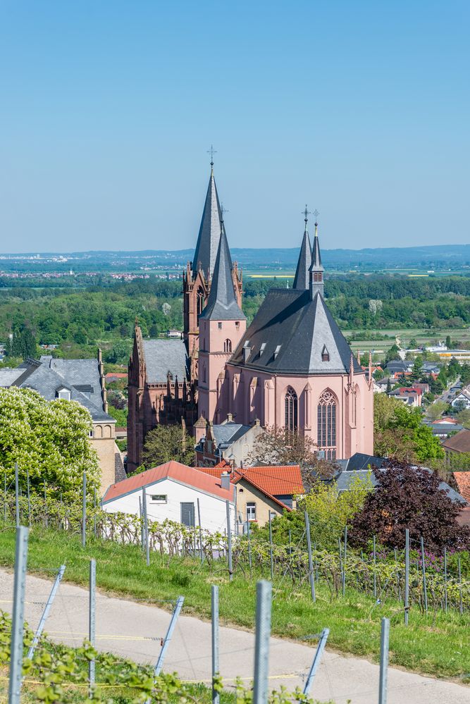 Oppenheim -Katharinenkirche 77