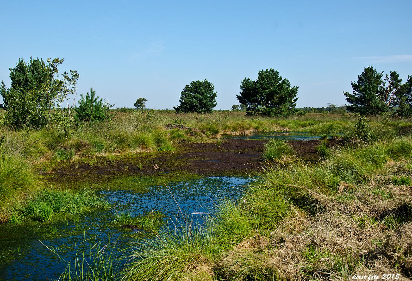 Oppenweher Moor