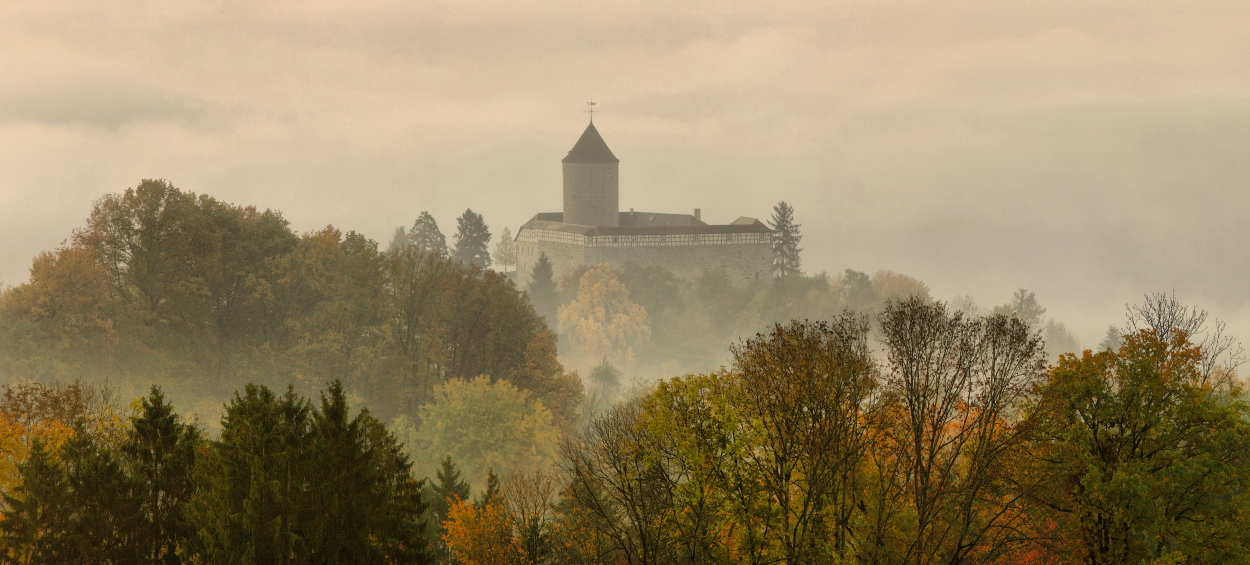 Oppenweiler - Burg Reichenberg