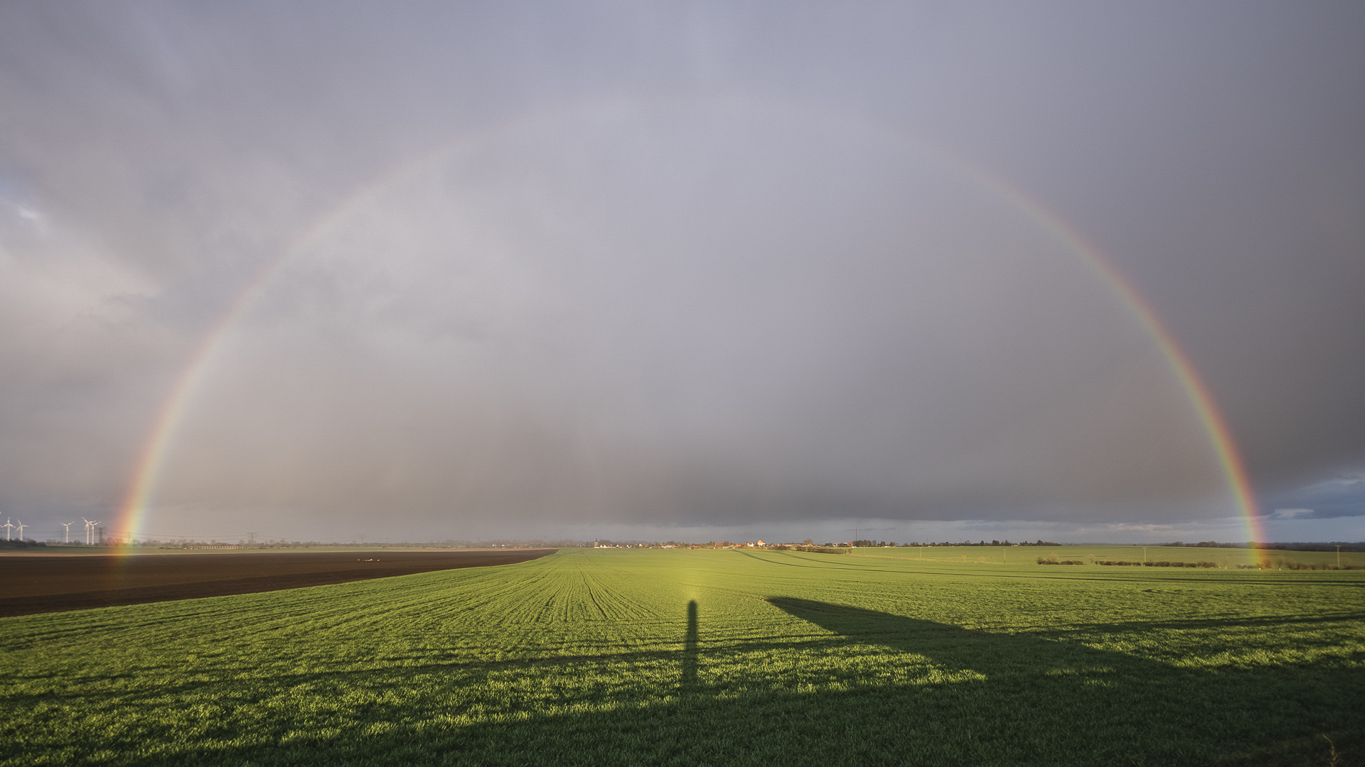 Oppositionseffekt unterm Regenbogen