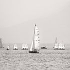 OPTI Regatta,  Opti-Krokodil, Kinder Regatta