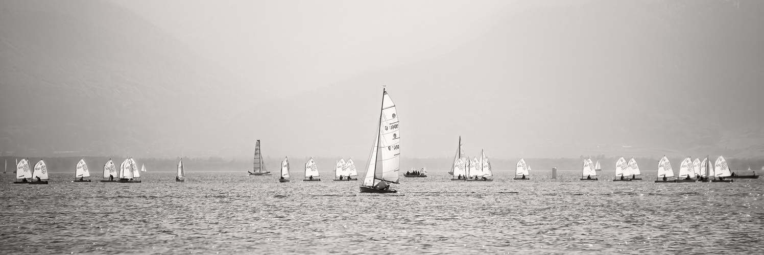 OPTI Regatta,  Opti-Krokodil, Kinder Regatta