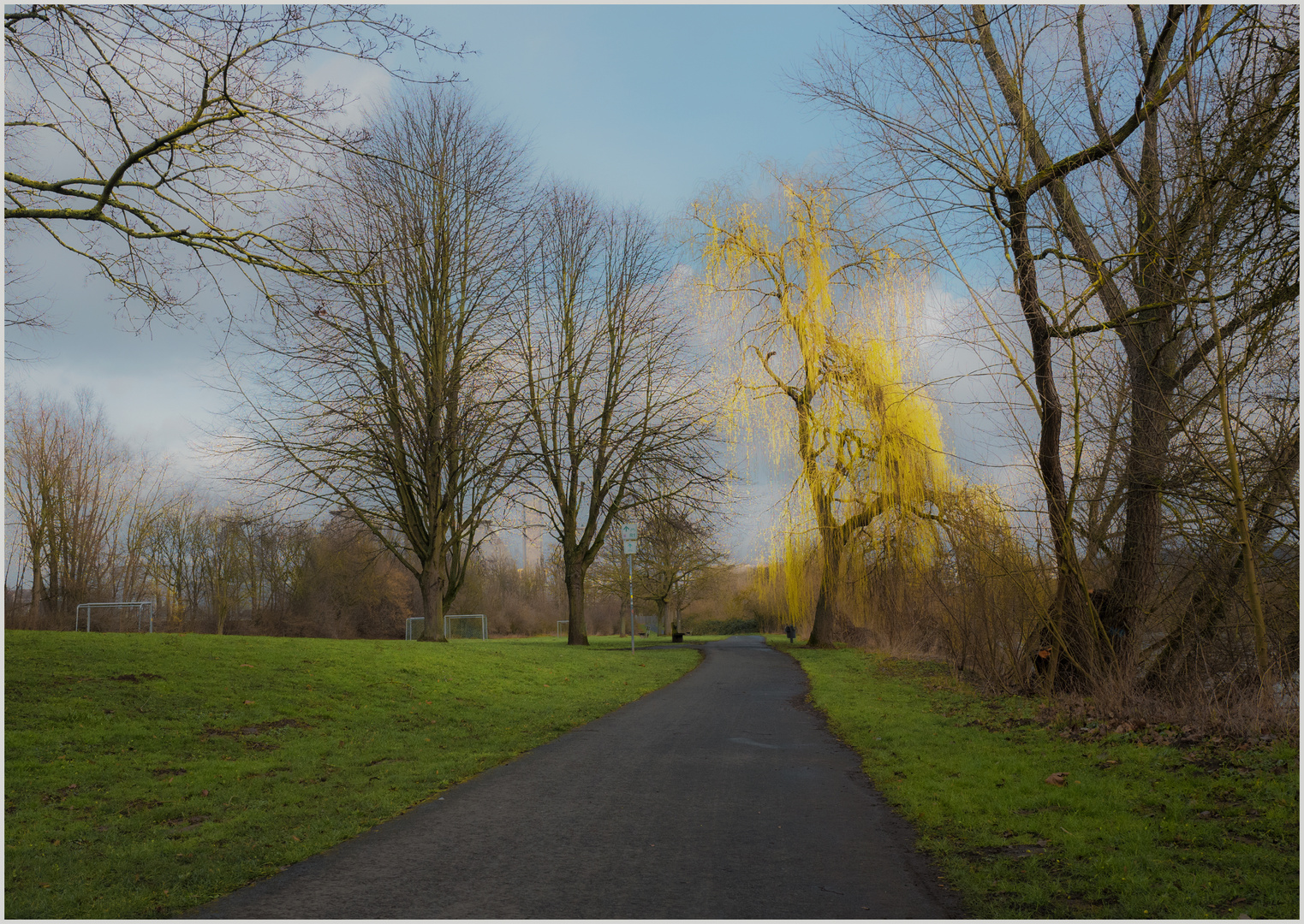 Optimist am Radweg R1