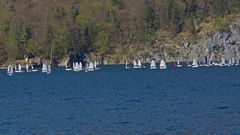 Optimisten Regatta