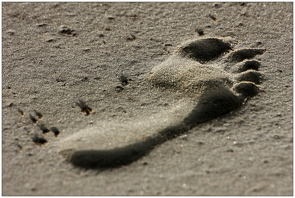 Optische Tauschung Foto Bild Landschaft Meer Strand Nordsee Bilder Auf Fotocommunity