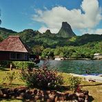 OPUNOHU BAY MOOREA