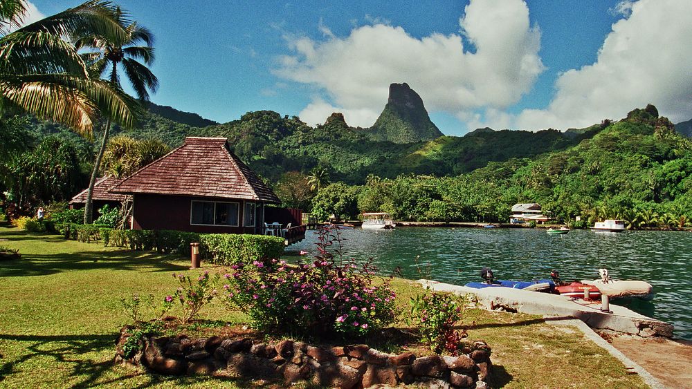 OPUNOHU BAY MOOREA