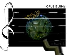 OPUS BLUMe