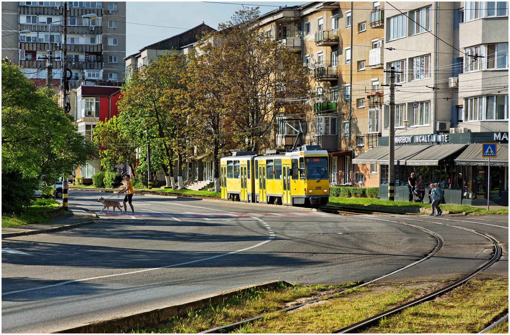 Oradea XXVI