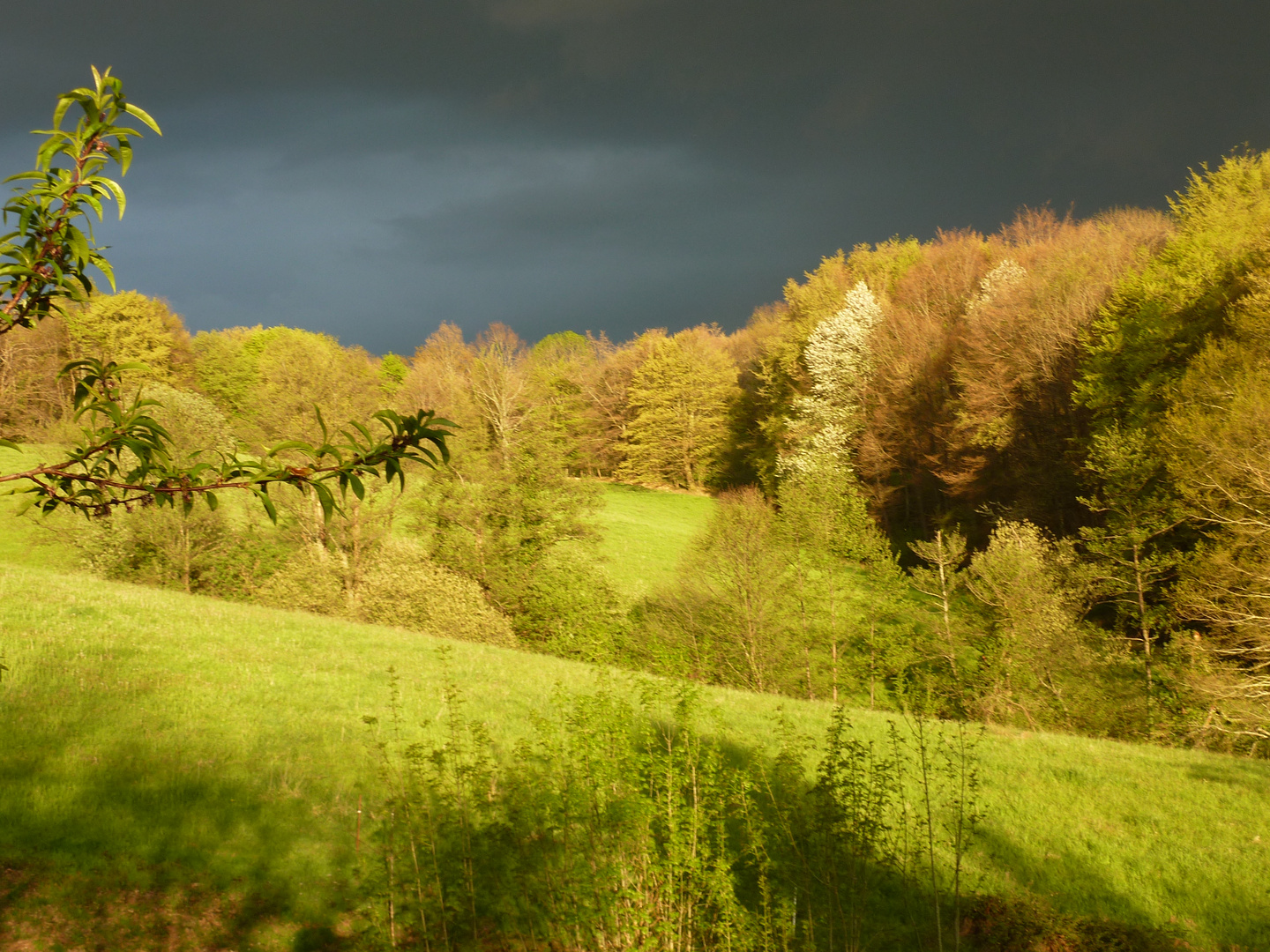 Orage (2)