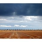 Orage d'été