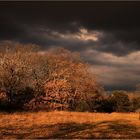 Orage en novembre