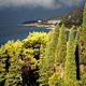 Orage en vue