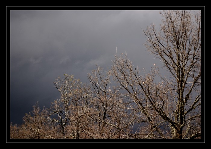 Orage en vue