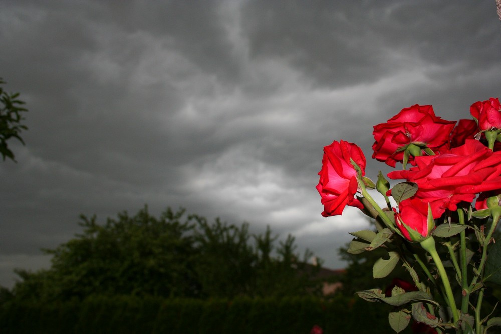 Orage et Eclat