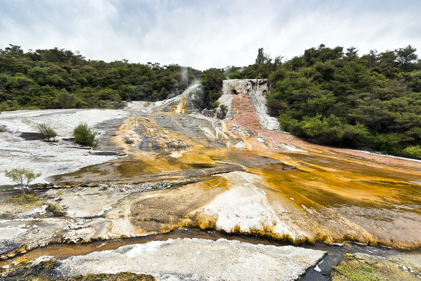 Orakei Korake Thermal Park