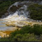 Orakei Korako 3 - "The Hidden Valley"