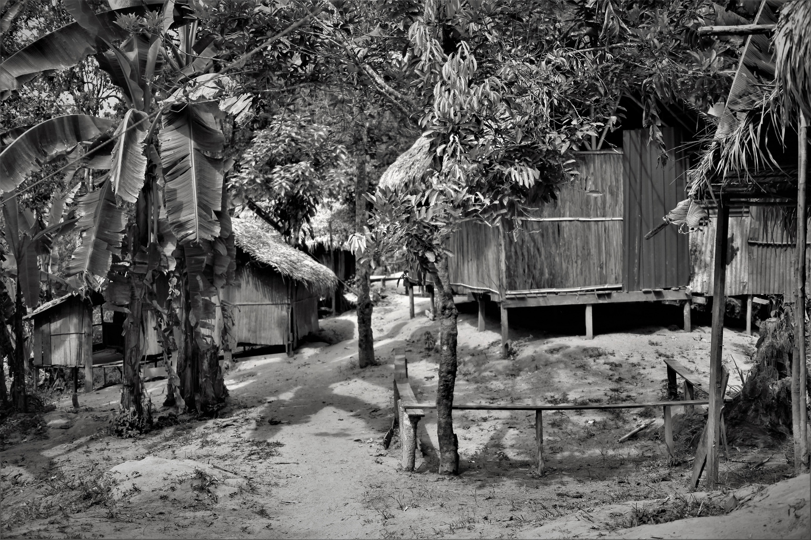 Orang Asli settlement