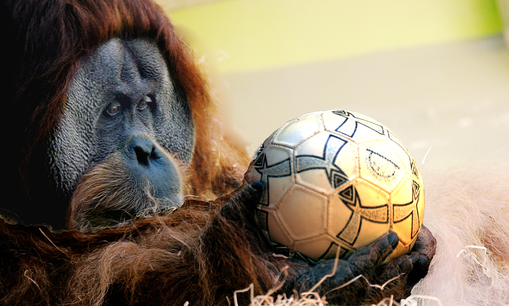 ORANG FUSSBALL