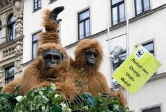 Orang-Utans auf der Leipziger Straße in Halle/S