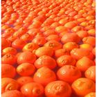 Orange!