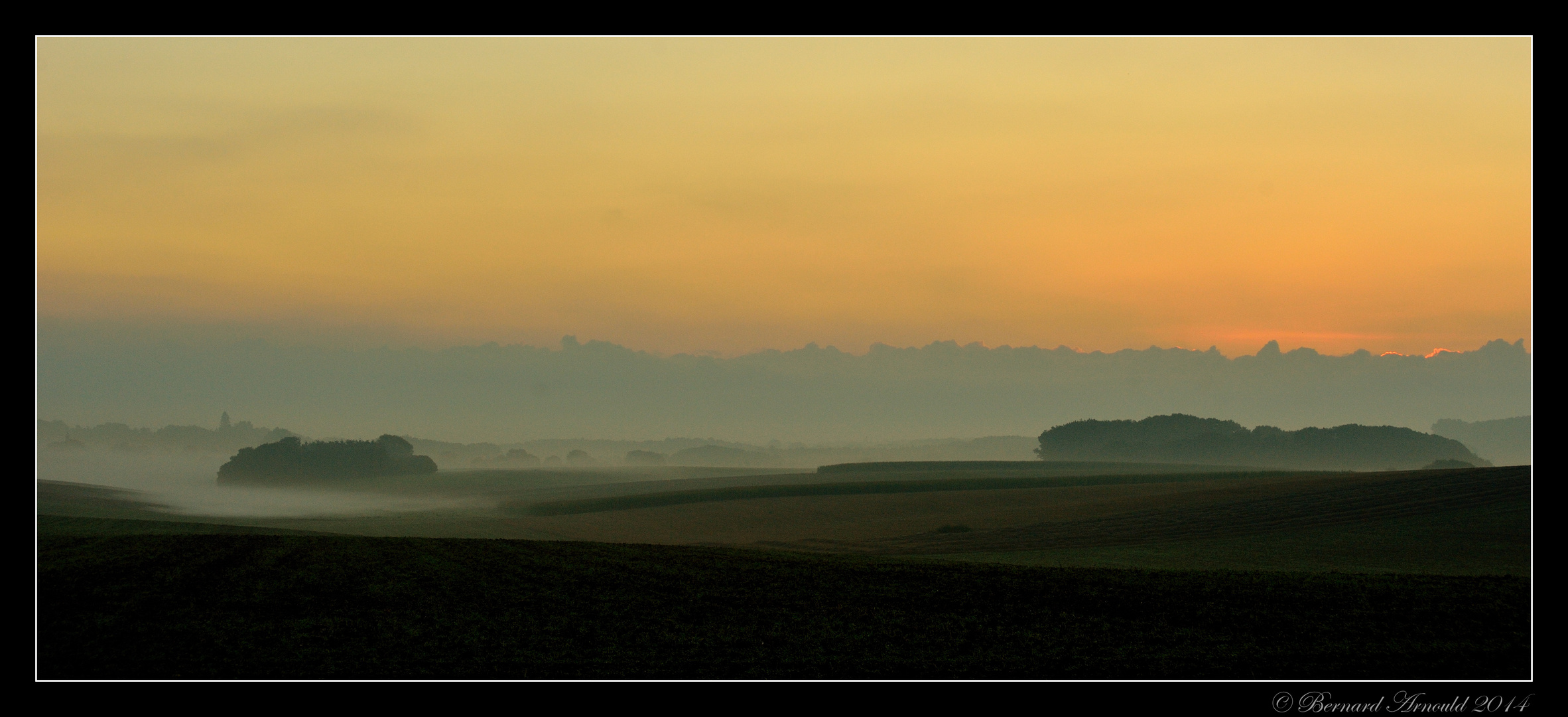 Orange à brume