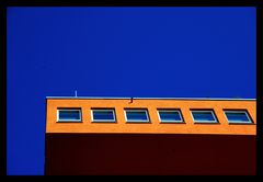 Orange and blue