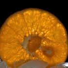 Orange auf Eis