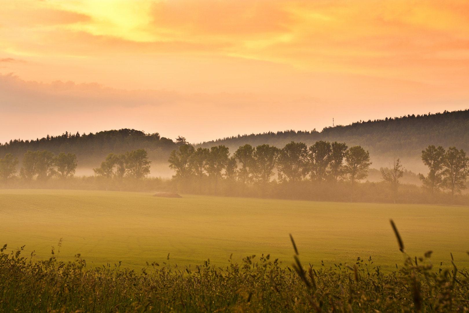 Orange Country