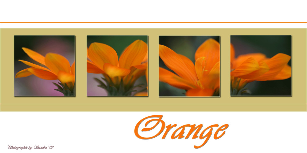 Orange