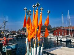 orange flags