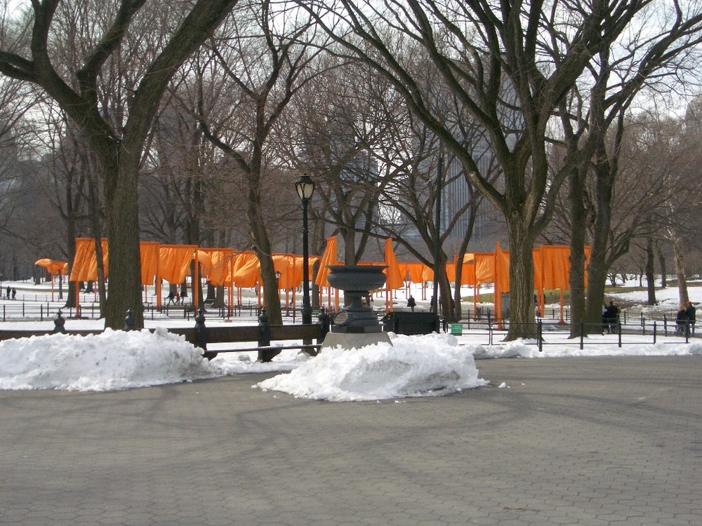 Orange Flags