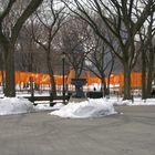 Orange Flags