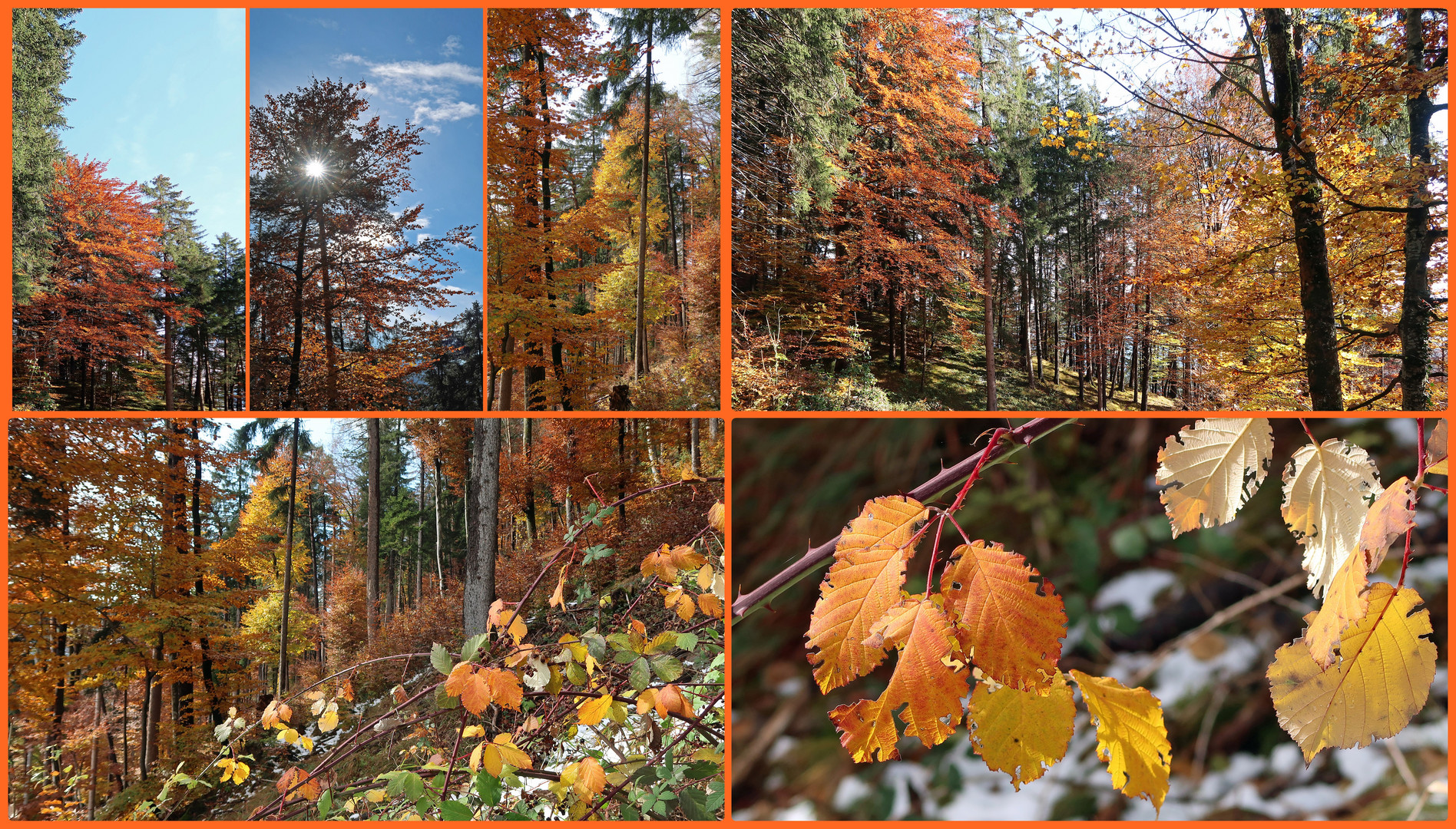 Orange-Grün-Blaue Farbenorgie