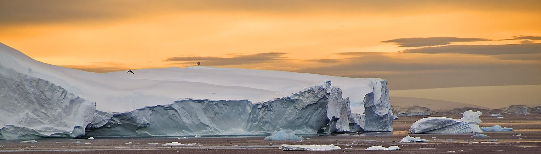 Orange Ice