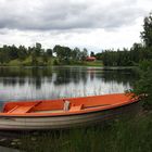 Orange im Dalsland