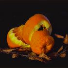 Orange im  Winterzeit