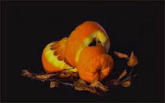 Orange im  Winterzeit
