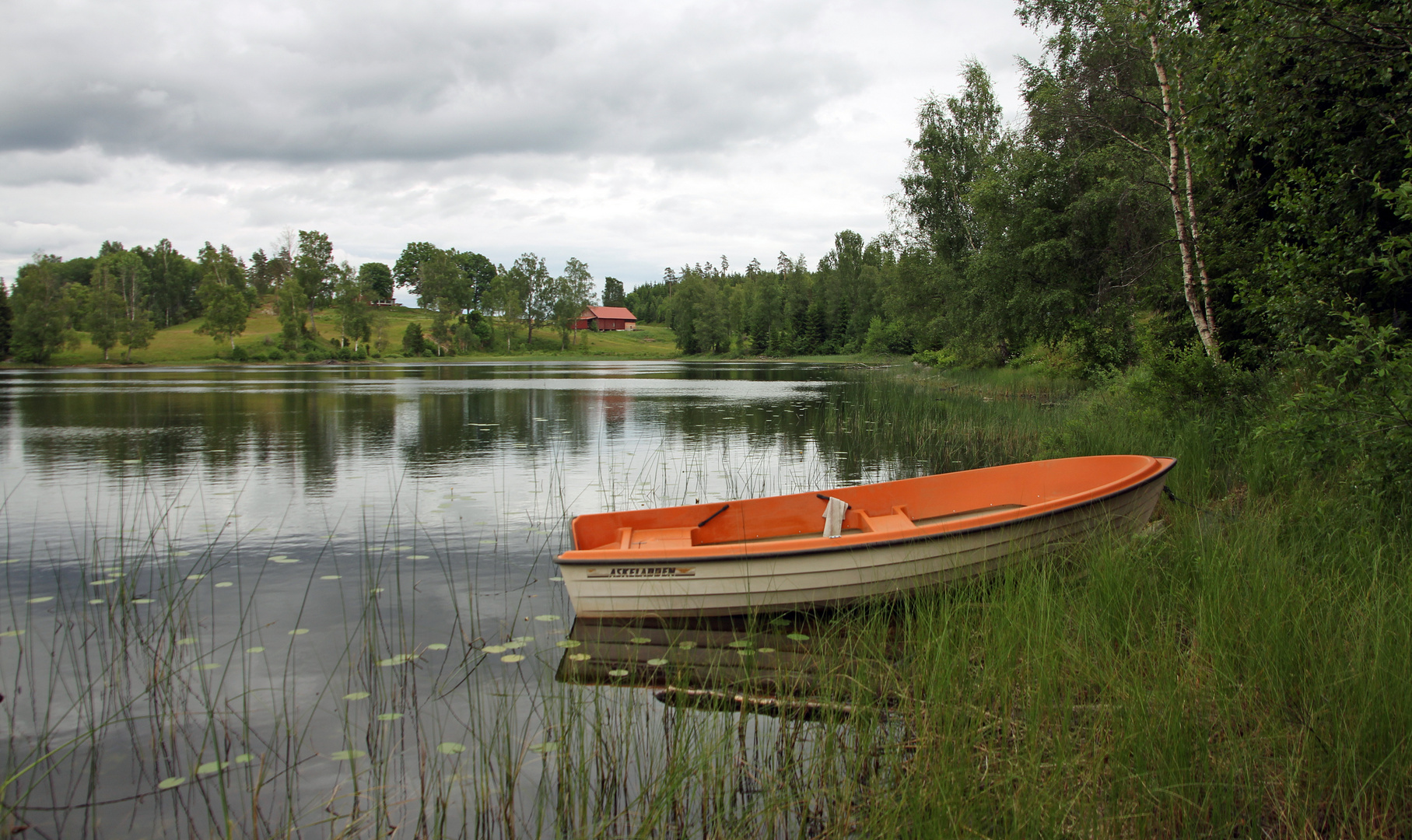 Orange in Dalsland am Boelesjön