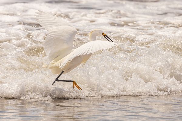 Orange ist angesagt…