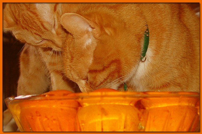 Orange Liebe