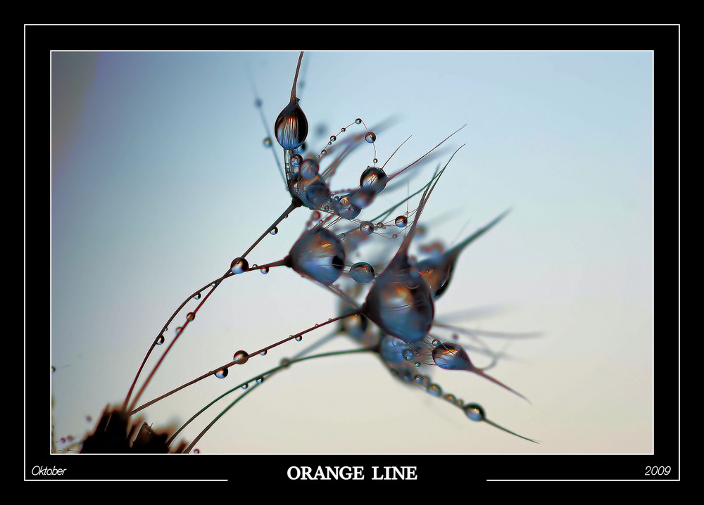 orange line