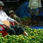 Orange Merchant