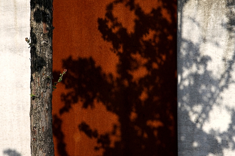 ORANGE mit baum