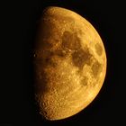 Orange moon