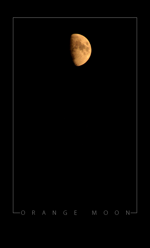 Orange Moon