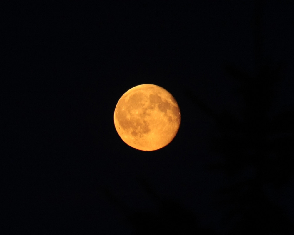 orange moon