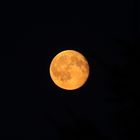 orange moon