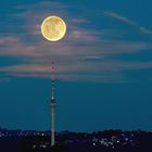 Orange Moon oder Knopf auf Spitz