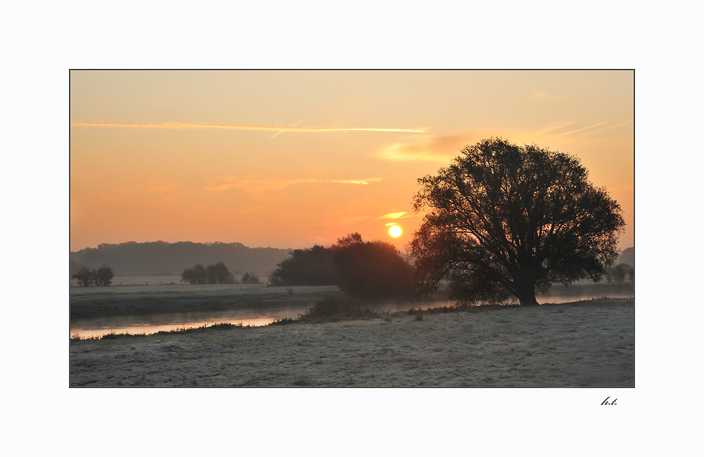 orange morning